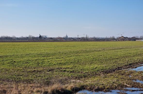 Samsung Galaxy S21 Ultra 5G - Mostre Foto (zoom): 20210221_154218.jpg