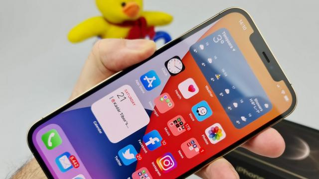 <b>Apple iPhone 12 Pro Max: Display cu o paletă foarte largă de culori, luminos, dar tot cu breton</b>Apple iPhone 12 Pro Max a reuşit ceva ce părea greu de făcut: să îl detroneze pe Galaxy Note 20 Ultra din topurile DisplayMate. Adevărul e că numai când te uiţi la denumirile ecranului şi la marketing-ul sau te ia durerea de cap: Super Retina XDR OLED