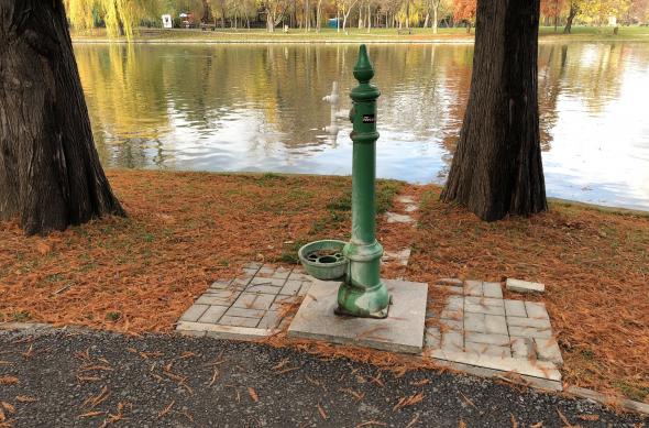 Apple iPhone 8 Plus - Mostre Foto (ziua): Photo 10-11-2017, 14 08 58.jpg