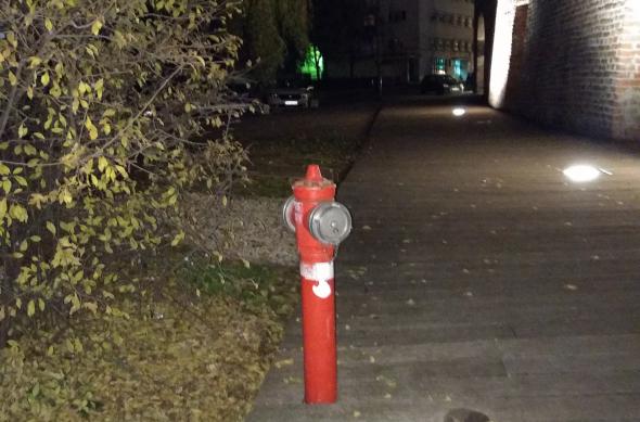 Xiaomi Mi A1 - Mostre Foto (seara): IMG_20171113_002822.jpg