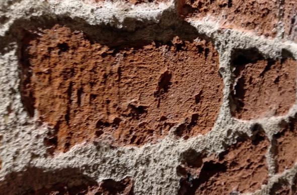 Xiaomi Mi A1 - Mostre Foto (seara): IMG_20171113_002841.jpg