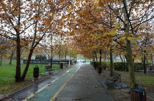 Xiaomi Mi A1 - Mostre Foto (ziua): IMG_20171118_143608.jpg