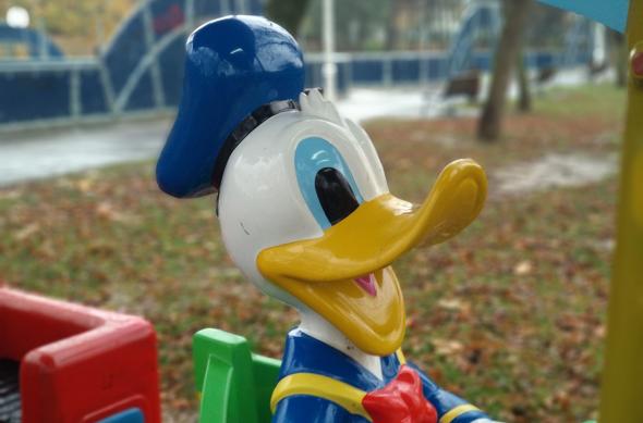 Xiaomi Mi A1 - Mostre Foto (ziua): IMG_20171118_144329.jpg