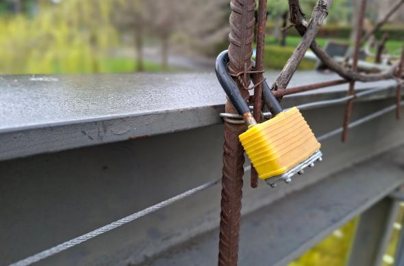 Samsung Galaxy A57 - Mostre bokeh: Mostre-bokeh_ (8).jpg