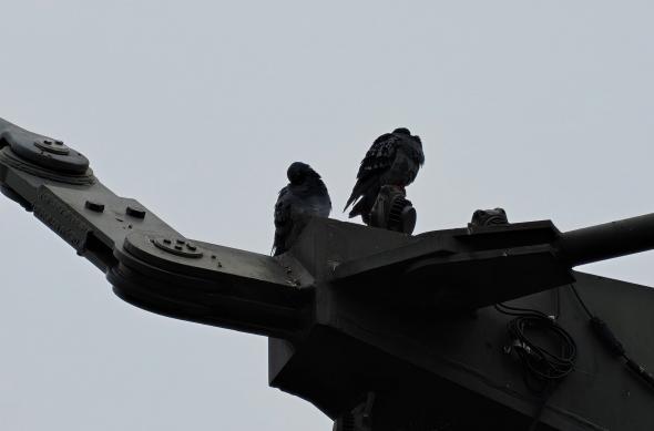 OnePlus 15 - Mostre zoom: OnePlus-15-Mostre-Zoom_030.jpg