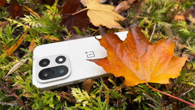 <b>OnePlus 15: Camera de high midrange, se descurcă bine în tărâmul bomboanelor</b>După un OnePlus 13 pe care îl testam la început de lună ianuarie în târguri de Crăciun, acum am pus camera lui OnePlus 15 la treabă încă din noiembrie, flagship-ul sosind mult mai devreme. Suferă pierderi ce-i drept și din păcate