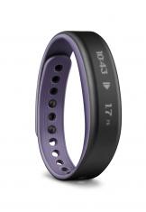 Garmin Vivosmart