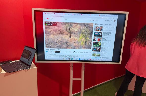 Google România 15 ani - Stand YouTube: YouTube (3).jpg