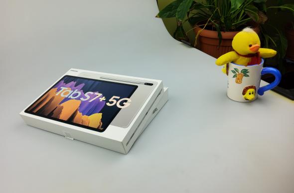 Fotografii făcute cu Samsung Galaxy Tab S7+ 5G (mostre foto): 20210119_163332.jpg