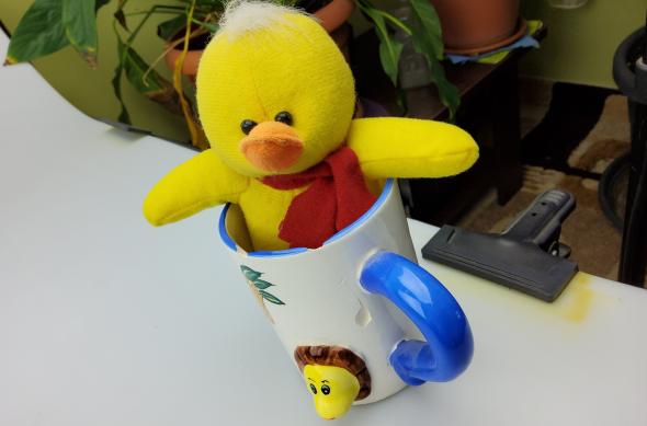 Fotografii făcute cu Samsung Galaxy Tab S7+ 5G (mostre foto): 20210119_163322.jpg