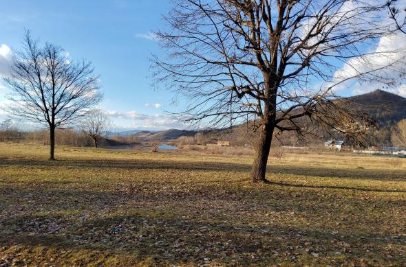 Fotografii făcute cu Samsung Galaxy Tab S7+ 5G (mostre foto): 20210130_155235.jpg