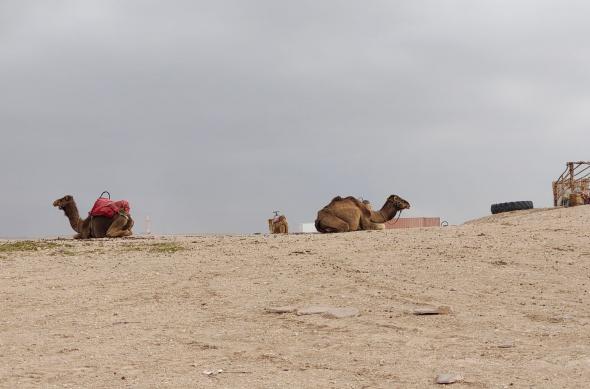 Motorola Edge 50 Pro - Mostre Foto: IMG_20240407_174700255_HDR.jpg