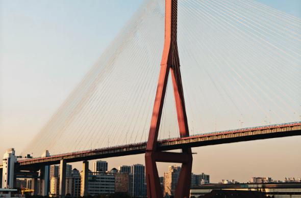 realme GT5 Pro - Mostre foto (Teaser): 007dP9zpgy1hkhllyawpsj32dc3i0npd.jpg