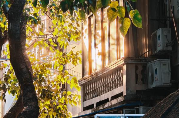 realme GT5 Pro - Mostre foto (Teaser): 007dP9zpgy1hkhllwi3yjj32dc3i01ky.jpg