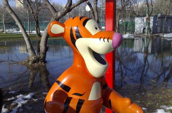 Fotografii făcute cu Nokia N95: 04032007128.jpg