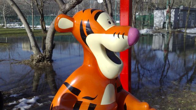 <b>Cum au păcălit pozele făcute cu Nokia N95 o comunitate întreagă</b>Ne place uneori să ne jucăm, să provocăm cititorii noştri să ghicească ce telefon a realizat o anumită fotografie. Am postat cu aproximativ o oră în urmă pe pagina și grupul Mobilissimo.ro o serie de fotografii arătoase şi am provocat cititorii să ghicea