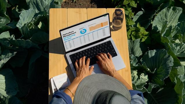 <b>Preț și disponibilitate Apple MacBook Pro 14 (2025) M5 în România</b>Apple a lansat recent noul MacBook Pro de 14 inch (2025), primul laptop al companiei cu noul procesor Apple M5, un cip construit pentru performanță ridicată, mai ales în sarcinile care implică inteligență artificială. Laptopul aduce