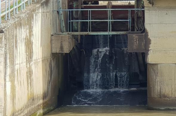 Samsung Galaxy S9+ - Mostre Foto (ziua): 20180312_132824.jpg