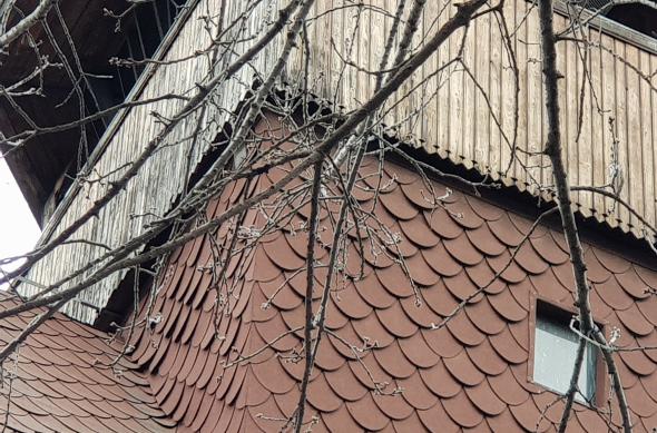 Samsung Galaxy S9+ - Mostre Foto (ziua): 20180314_151622.jpg