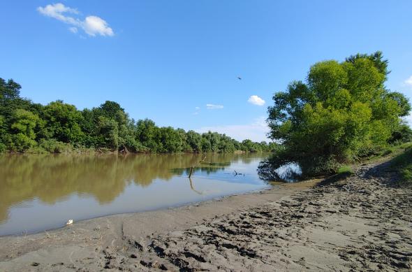 LG Velvet - Mostre Foto (ziua): 20200705_174155_HDR.jpg