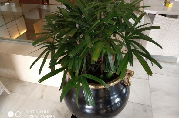 Xiaomi Mi 6 - Mostre foto 91mobiles: Mostra-foto-Xiaomi-Mi6-interior2.jpg