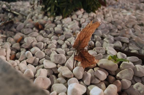 OPPO Find X9 Pro - Mostre noapte: OPPO-Find-X9-Pro-Mostre-noapte_018.jpg