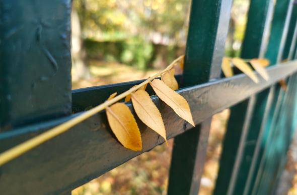 Motorola edge 70 - Mostre Foto (ziua): Motorola-edge-70-Mostre-zi_051.jpg