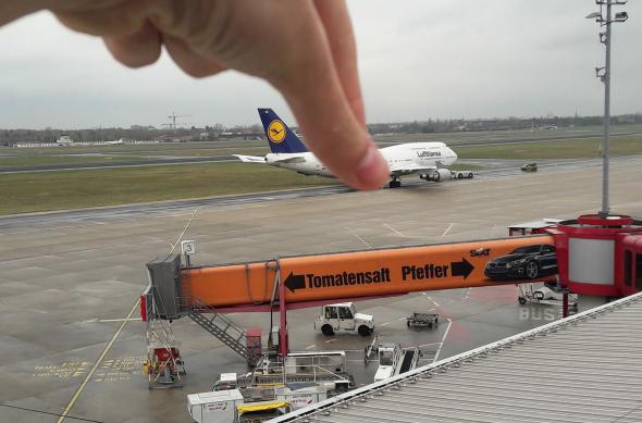 Apple iPhone X - Mostre Foto (ziua): Photo 04-11-2017, 08 56 26.jpg