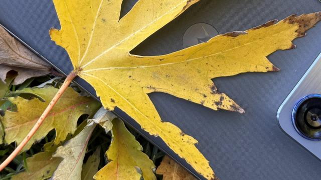 <b>Cum fotografiază cel mai subțire smartphone Motorola al momentului? (Teaser - Mostre foto)</b>Motorola pregătește lansarea celui mai subțire smartphone de până acum și astăzi v-am pregătit un articol interesant, mai ales pentru cei care vor să afle cum se descurcă acesta la nivel de captură foto. Am avut telefonul pe mână pentru