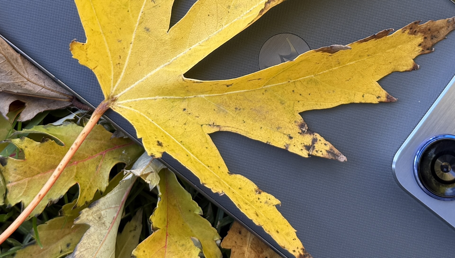 Cum fotografiază cel mai subțire smartphone Motorola al momentului? (Teaser - Mostre foto)