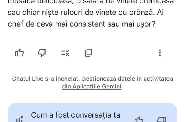 Samsung Galaxy S25 Edge - Gemini și Bixby: Gemini (4).jpg
