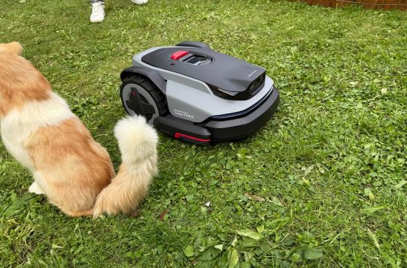 Roborock RockMow S1 - Fotografii: Roborock-RokMow-S1 (10).jpg