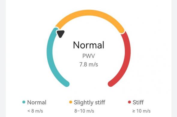 HUAWEI Watch GT 6 Pro - Screenshots: HUAWEI-Watch-GT-6-Pro-Screenshots_013.jpg