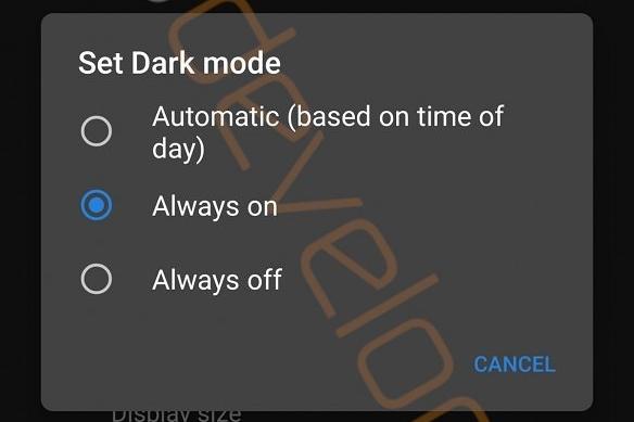 Capturi ecran din Android Q (build timpuriu): Android-Q-Build-Timpuriu_006.jpg
