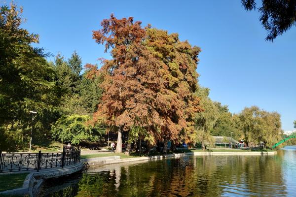 Sony Xperia 5 - Mostre Foto (ziua)