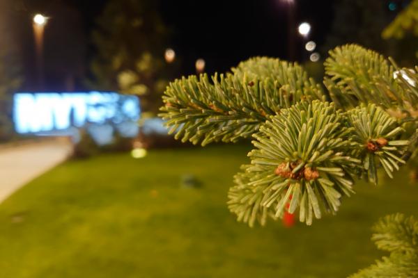 Sony Xperia 5 - Mostre Foto (seara)