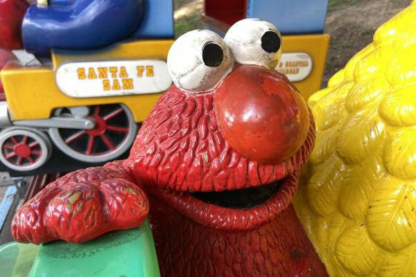 Apple iPhone 11 - Mostre Foto (ziua)