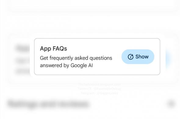 FAQ-uri generate de AI în Google Play Store: IMG_ORG_1704363803282.jpg