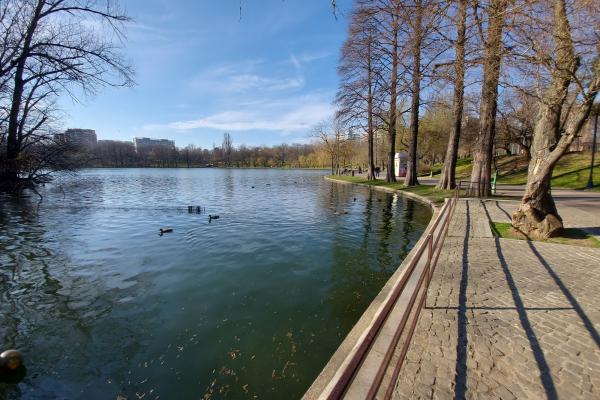 Samsung Galaxy A71 - Mostre Foto (ziua)