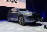 BYD-Sealion-5-DMI_ (1).jpg