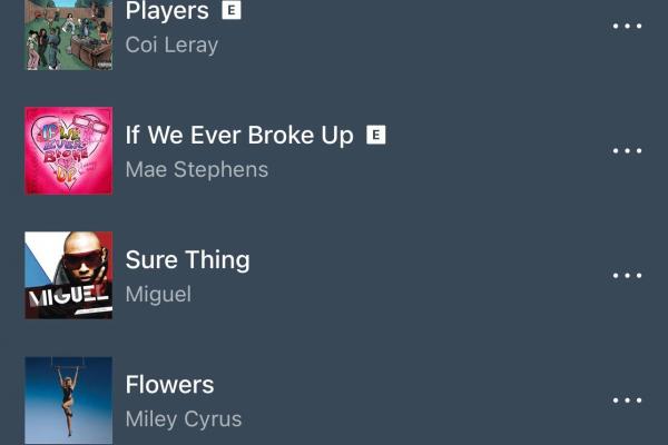 Sonos Sub 300 - Aplicație