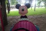 IMG_20160510_161938.jpg