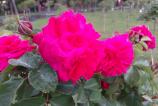 IMG_20160510_162400.jpg
