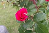 IMG_20160510_162358.jpg