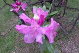 IMG_20160510_162627.jpg