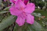IMG_20160510_162642.jpg