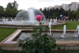 IMG_20160510_163232.jpg