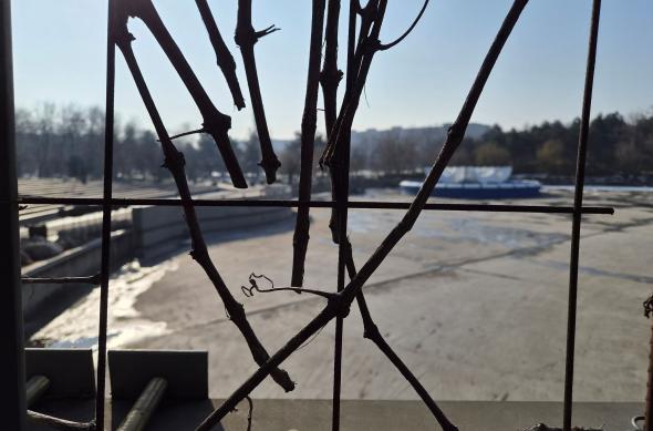 Samsung Galaxy S26 - Mostre closeup: Closeup_ (5).jpg