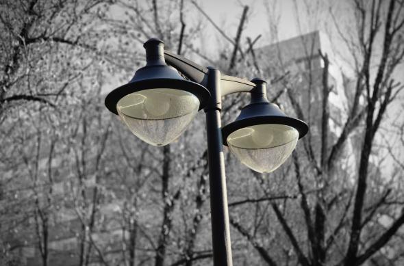 Samsung Galaxy S26 - Mostre bokeh: Bokeh_ (1).jpg