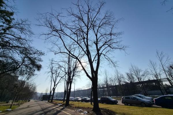 Samsung Galaxy S26 - Mostre zi